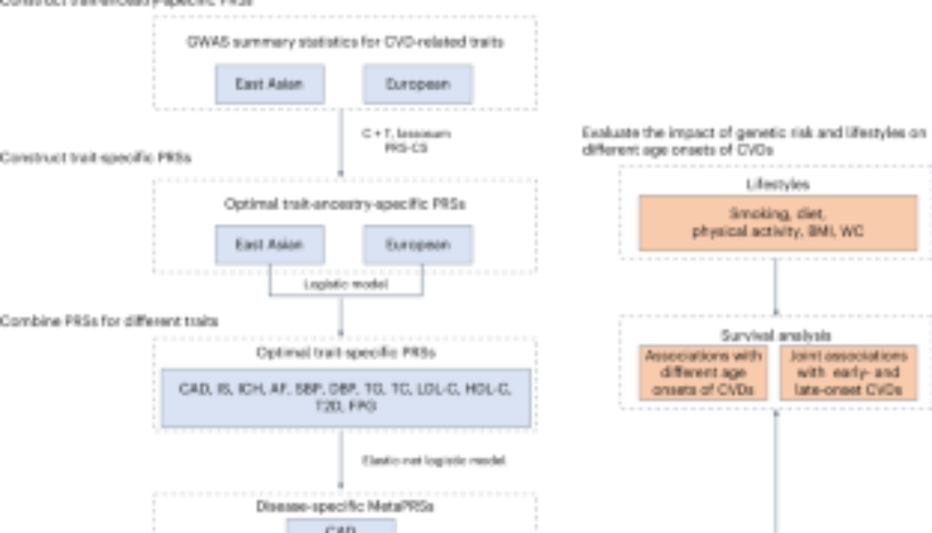 Joint impact of polygenic risk score and lifestyles on early- and late-onset cardiovascular diseases - Nature Human Behaviour