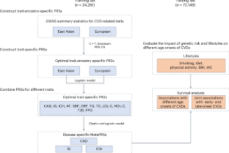 Joint impact of polygenic risk score and lifestyles on early- and late-onset cardiovascular diseases - Nature Human Behaviour