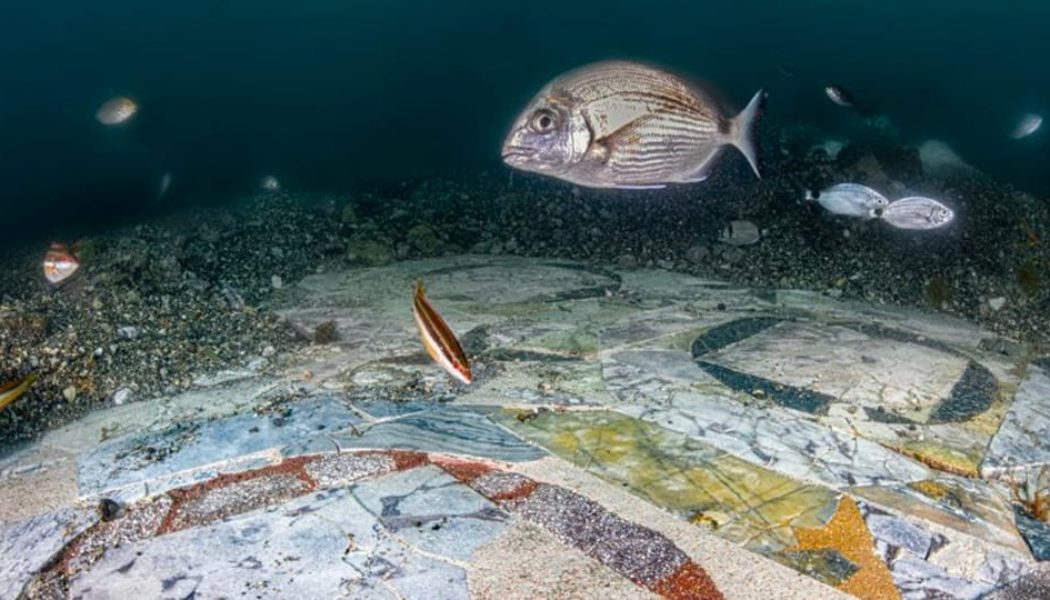 Lavish Seafloor Mosaics Discovered off Coast of Naples