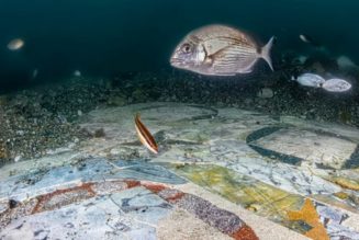 Lavish Seafloor Mosaics Discovered off Coast of Naples