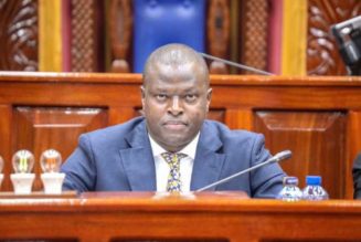 Lawmakers shine spotlight on Sh400bn State service fees