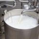 Milk intake by processors up 19pc in six months on improved output