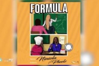 Niniola – Formula ft Pheelz