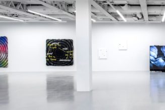 Nokukhanya Langa and Bruce Nauman Critique Post-Internet Culture in Joint Show