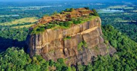 Sri Lanka Travel Guide: How To Plan The Perfect Trip