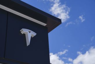 Tesla’s profits sank sharply in the second quarter of 2024