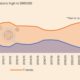 Treasury bills in domestic debt hit historic low