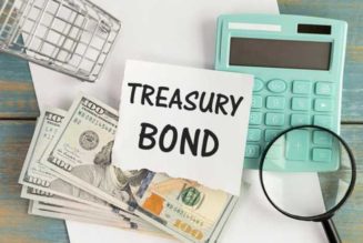 August bond sale puts domestic borrowing back on preferred track