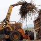 Blow for farmers as cane prices dip further on market glut