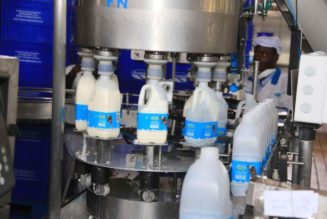 Brookside, traders claim bias in issuance of Uganda dairy import permits