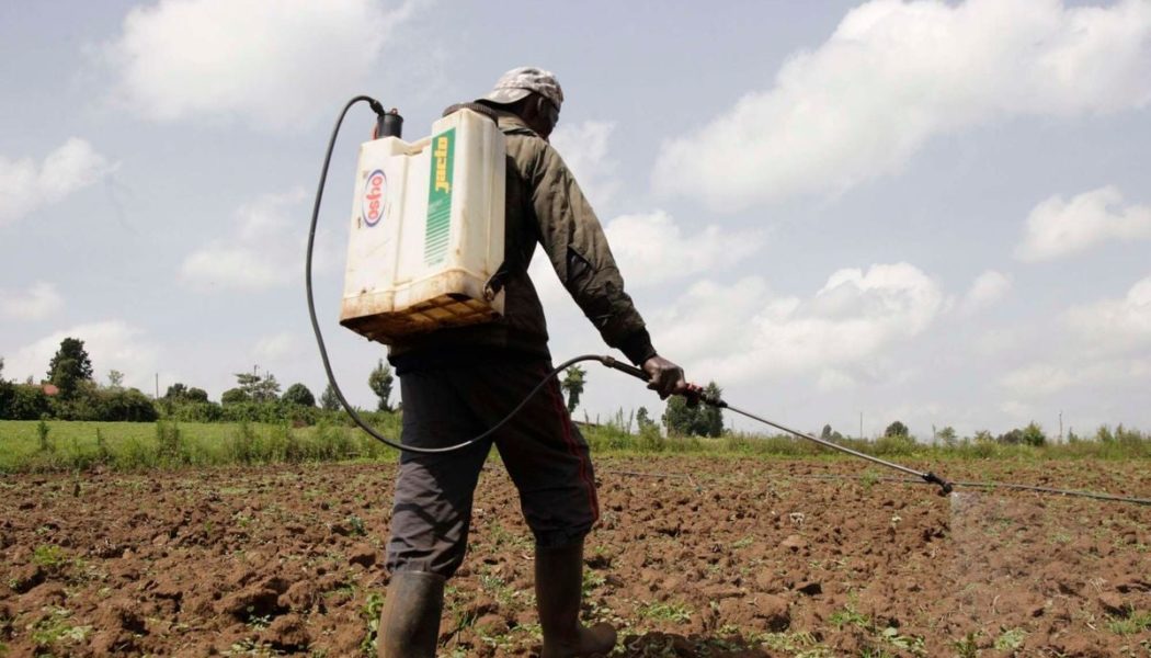 House debate on pesticides is a positive step in food safety fight