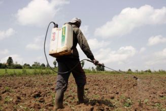 House debate on pesticides is a positive step in food safety fight