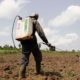 House debate on pesticides is a positive step in food safety fight