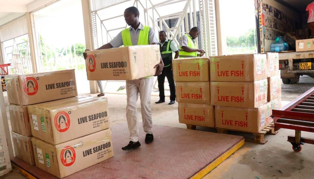 How Kenya can seize opportunity to grow exports to EAC countries