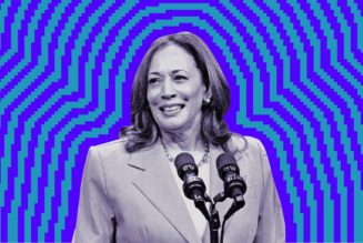 Kamala Harris’ VC supporters raise $150,000 on a Zoom call