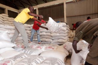 Kenya’s levies on cereals violate business deals: traders