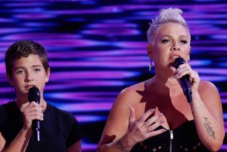 P!NK performs "What About Us" with daughter Willow at DNC