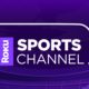 Roku will launch a free 24/7 sports channel