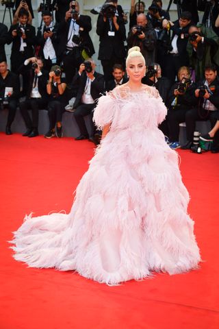 Lady Gaga wears a pink feathery gown