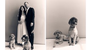 Nina Park and Frederik Vig wedding