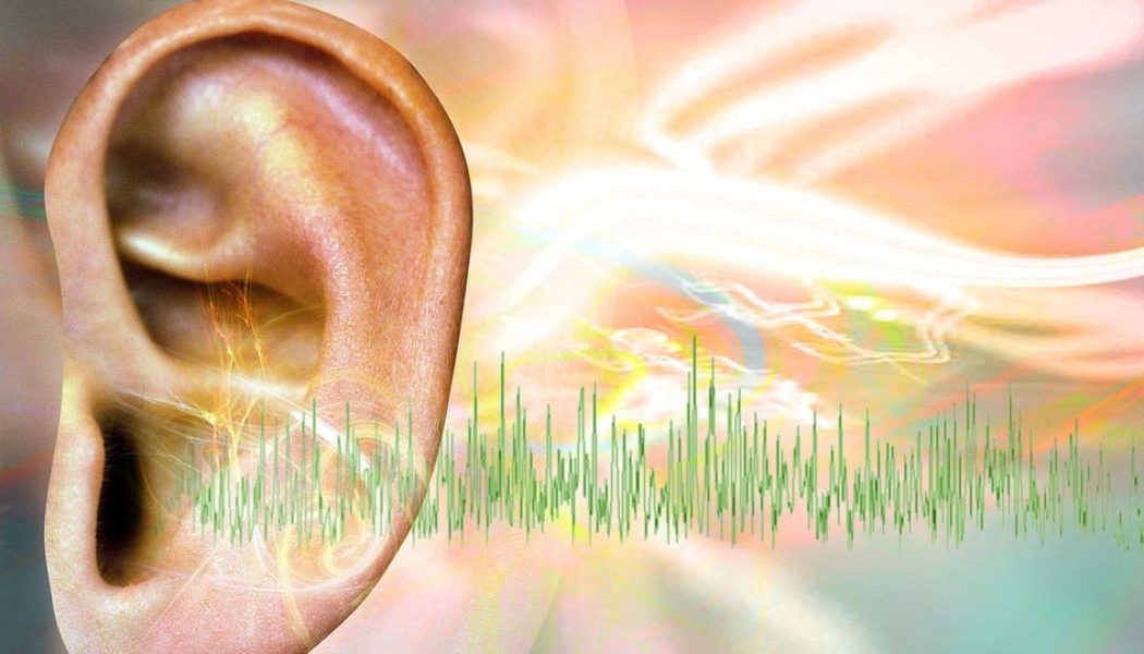 Tinnitus: Woher kommen die Geräusche? Was hilft dagegen? | MDR.DE