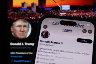 Troll Tactics: VP Kamala Harris' Campaign Calls Donald Trump A Chicken In Post On Social Media