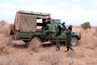 We must all partner to resolve Kenya’s human-wildlife conflicts