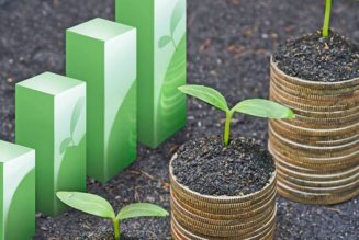 Why adopting ESG principles are essential to business growth