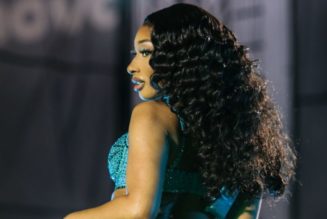 You Care: Megan Thee Stallion Seemingly Confirms Relationship With NBA Hooper Torrey Craig, Some X Users Are Jealous