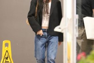 Zoë Kravitz and Hailey Bieber Just Wore the '70s Bag Trend That Will Dominate This Autumn