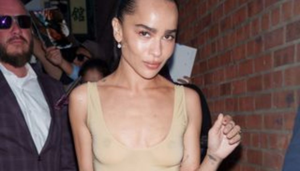 Zoë Kravitz Paired a Sheer Tank With the Ultimate Anti-Trend Skirt Style