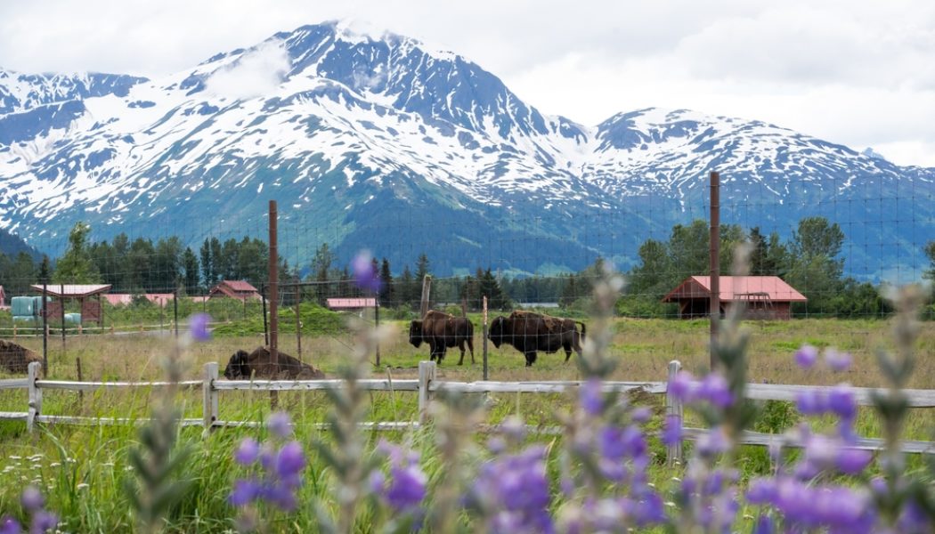 11 best day trips from Anchorage, Alaska | Atlas & Boots