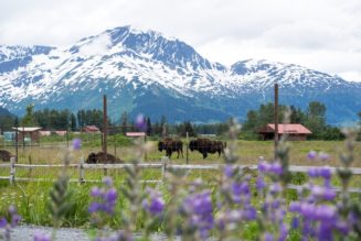 11 best day trips from Anchorage, Alaska | Atlas & Boots