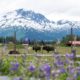 11 best day trips from Anchorage, Alaska | Atlas & Boots