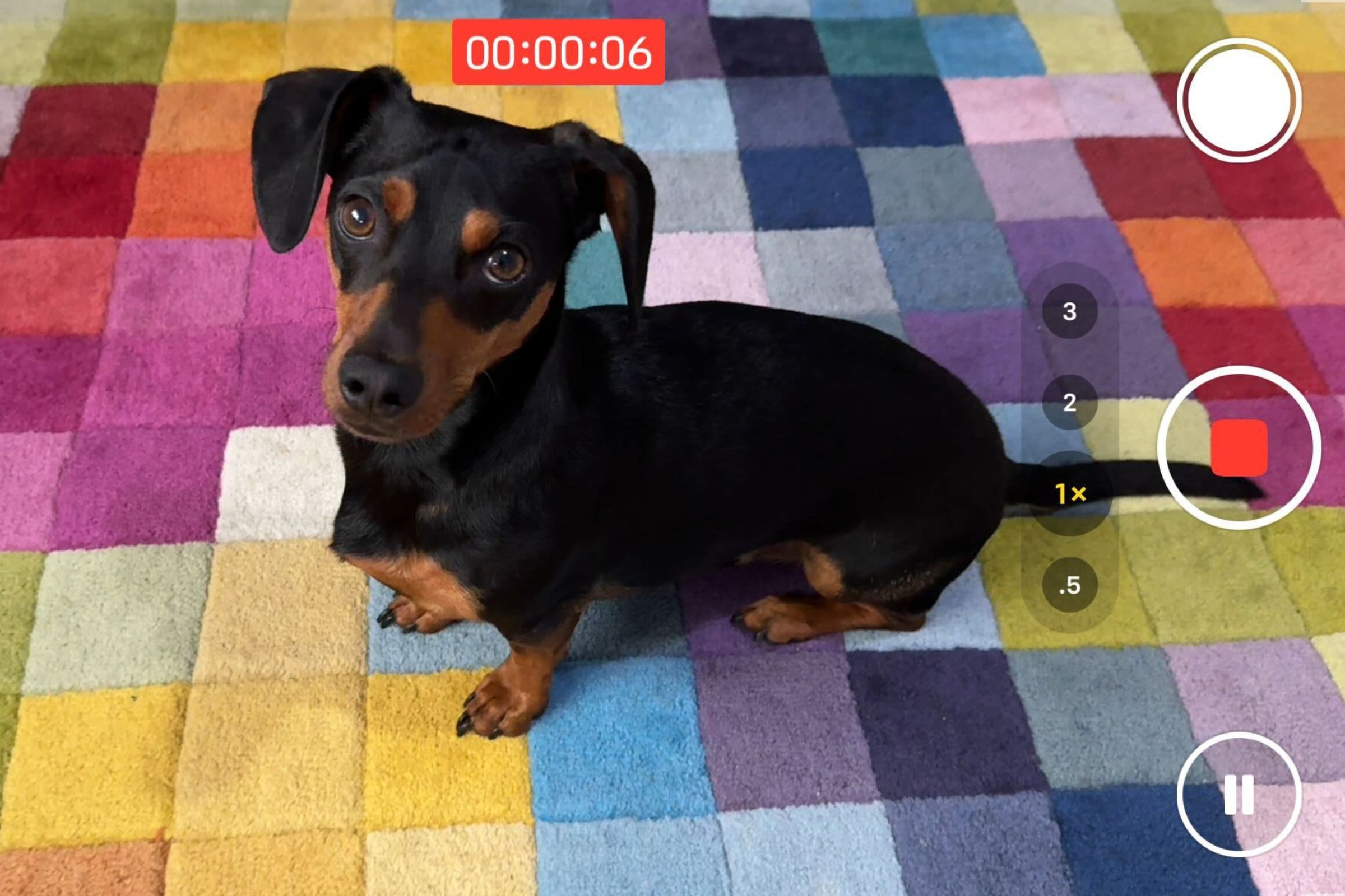 A screenshot showing the new pause recording button in the iOS 18 camera app.