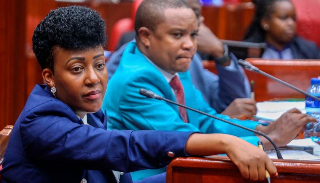 Senators lock horns with MPs over Sh800m fund