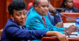 Senators lock horns with MPs over Sh800m fund