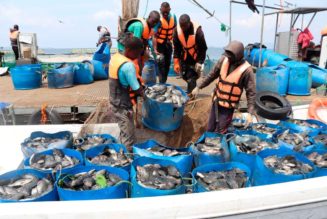 Victory Farms plans Sh750m expansion of Lake Victoria fish business