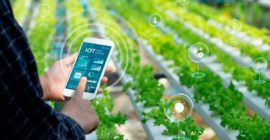 Why agritech startups are pushing for policy changes