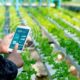 Why agritech startups are pushing for policy changes