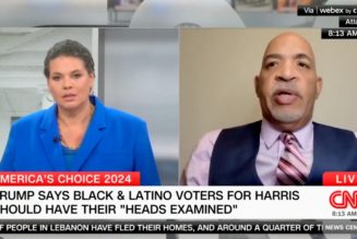 Black Conservative Evokes Malcolm X Quote, Says "Field Negroes" Should Vote For Trump