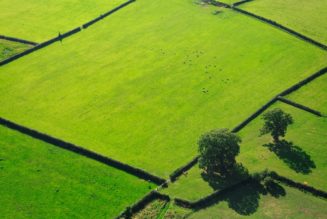 Britain's last remaining wild places