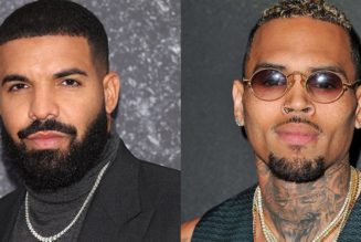 Drake and Chris Brown Face $5 Million Copyright Lawsuit Over "No Guidance"