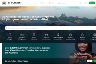 e-Citizen payment glitches persist amid complaints