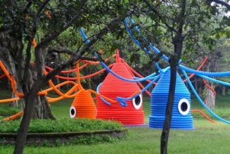 Family of Giant Squids Takes Over Park in Taiwan