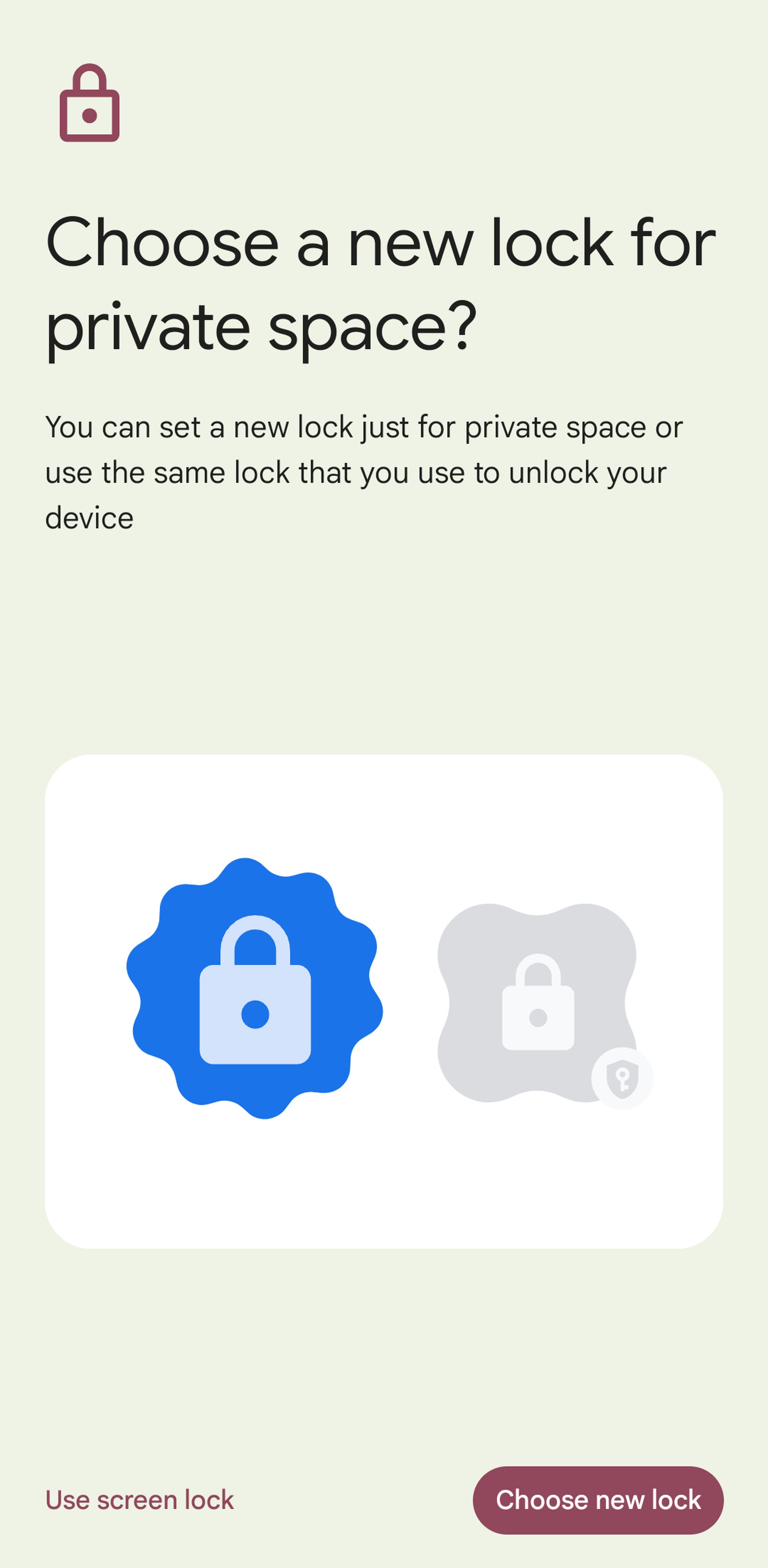 Page to Choose a new lock for a private space.