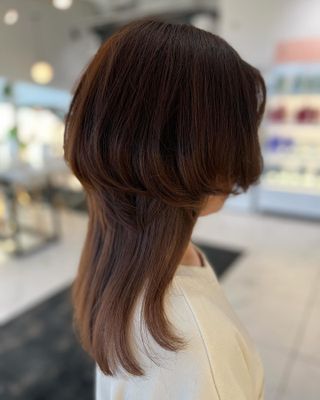 Jellyfish haircut showing bob layer and longer layers beneath on copper brunette hair