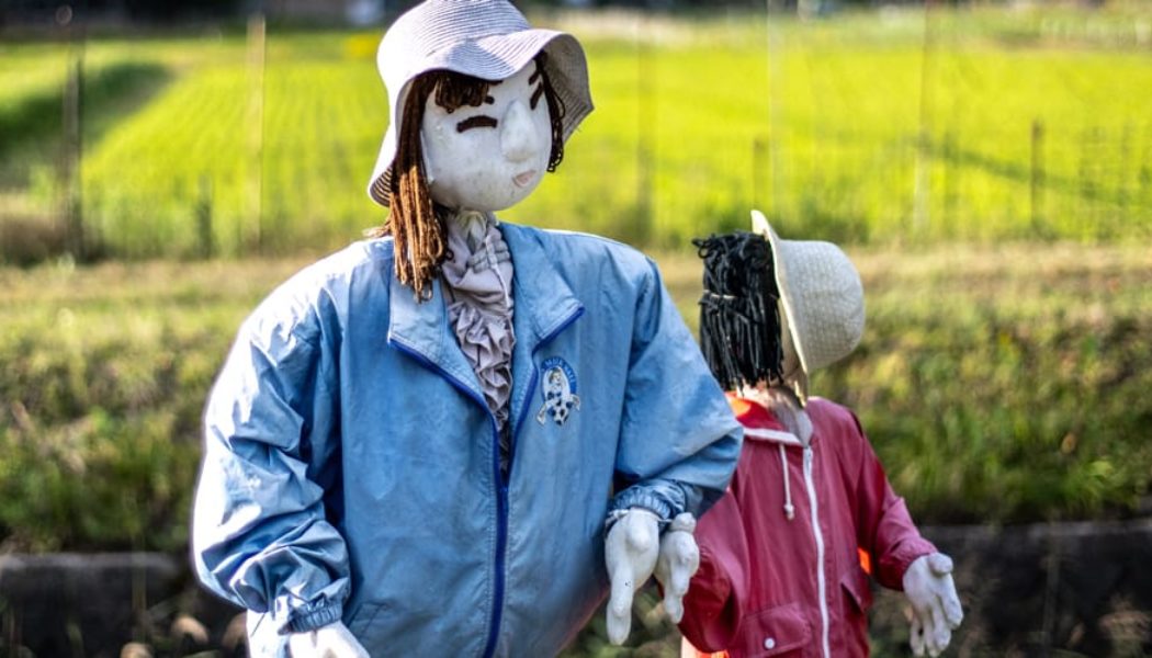 Japanese Village Replaces Youth Population with Puppets