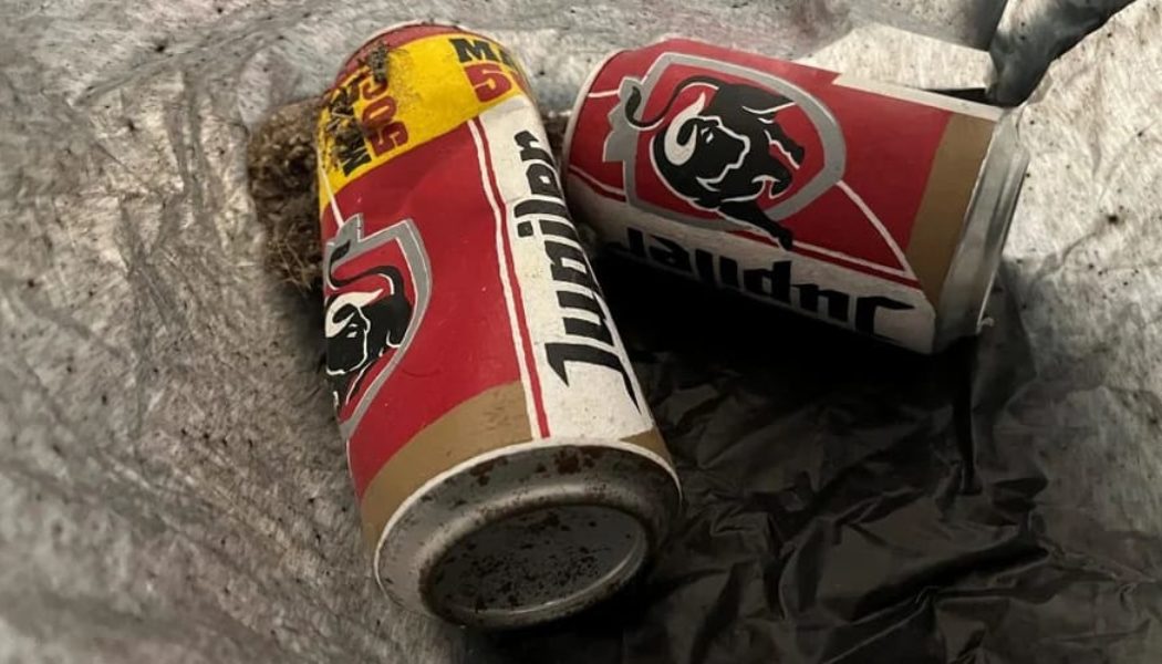 LAM Museum Technician Accidentally Trashes Beer Can Artwork