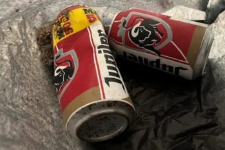 LAM Museum Technician Accidentally Trashes Beer Can Artwork